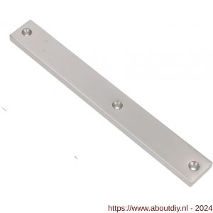 Ami 245/30 smalschild aluminium geheel blind R6,5 F1 - A10900778 - afbeelding 1