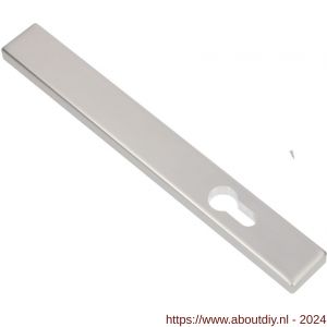 Ami 245/30 smalschild aluminium zonder krukgat PC 72 M5 F1 - A10900779 - afbeelding 1