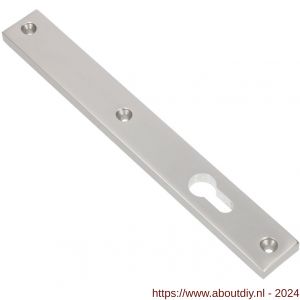 Ami 245/30 smalschild aluminium zonder krukgat PC 92 R6,5 F1 - A10900782 - afbeelding 1