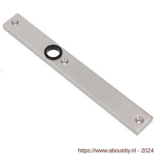 Ami 245/30 smalschild aluminium blind R6,5 F1 - A10900770 - afbeelding 1