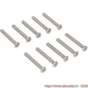 Ami deurbeslag patentschroef met zaagsnede RVS M6x45 mm voldraad set 10 stuks - A10900189 - afbeelding 1