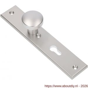 Ami 251/50/8 knoplangschild aluminium knop 169/50 vast langschild 251/50/8 profielcilinder PC 55 R6,5 F1 - A10900762 - afbeelding 1