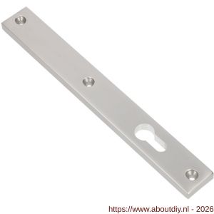Ami 245/30 smalschild aluminium zonder krukgat profielcilinder PC 72 R5,5 F1 - A10900780 - afbeelding 1