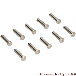 Ami deurbeslag patentbouthuls messing vernikkeld M4x22,5 mm zonder zaagsnede set 10 stuks - A10900197 - afbeelding 1