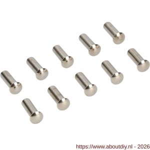 Ami deurbeslag patentbouthuls messing vernikkeld M5x21 mm zonder zaagsnede set 10 stuks - A10900198 - afbeelding 1