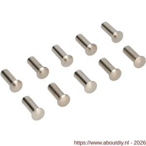 Ami deurbeslag patentbouthuls messing vernikkeld M6x21 mm zonder zaagsnede set 10 stuks - A10900200 - afbeelding 1