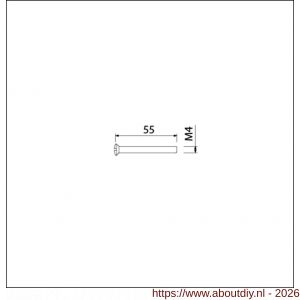 Ami deurbeslag patentschroef met zaagsnede ijzer vernikkeld M4x55 mm voldraad set 10 stuks - A10900177 - afbeelding 2