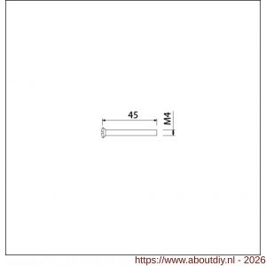 Ami deurbeslag patentschroef met zaagsnede ijzer vernikkeld M4x45 mm voldraad set 10 stuks - A10900176 - afbeelding 2