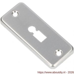 Ami 4 RH sleutelrozet aluminium rechthoek bontebaard BB F1 - A10900482 - afbeelding 1