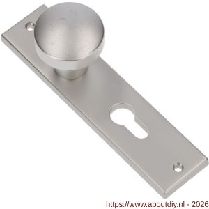 Ami 178/43 knopkortschild aluminium knop 169/50 vast kortschild 178/43 profielcilinder PC 55 F1 - A10900723 - afbeelding 1