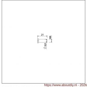 Ami deurbeslag patentbouthuls messing vernikkeld M6x21 mm zaagsnede set 10 stuks - A10900201 - afbeelding 2