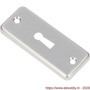 Ami 4 RH sleutelrozet aluminium rechthoek sleutelgat SLG F1 - A10900483 - afbeelding 1