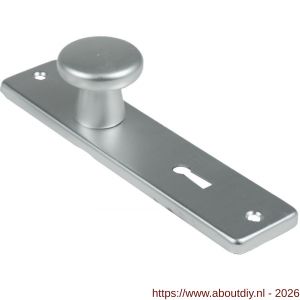 Ami 165/4 RH knopkortschild aluminium rondhoek knop 160/40 vast kortschild 165/4 RH sleutelgat SLG 56 F2 - A10900709 - afbeelding 1