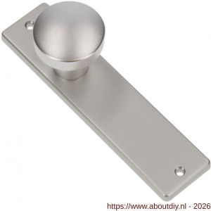 Ami 178/43 knopkortschild aluminium knop 169/50 vast kortschild 178/43 blind F1 - A10900720 - afbeelding 1