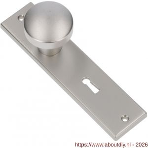 Ami 178/43 knopkortschild aluminium knop 169/50 vast kortschild 178/43 sleutelgat SLG 56 F1 - A10900721 - afbeelding 1