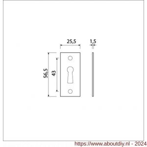 Ami 4 Vlak sleutelrozet aluminium afdekplaatje sleutelgat F2 - A10900487 - afbeelding 2