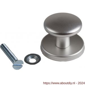 Ami 160/60 voordeurknop aluminium F2 - A10900272 - afbeelding 1