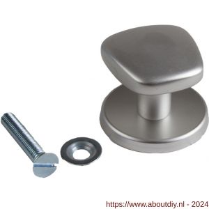 Ami 165/75 voordeurknop aluminium F1 - A10900281 - afbeelding 1