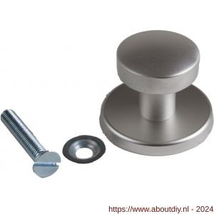 Ami 169/50 voordeurknop aluminium F2 - A10900286 - afbeelding 1
