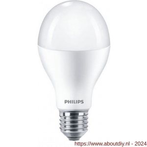 Philips LED lamp normaal Corepro LEDbulb 18.5 W-120 W E27 A67 827 extra warm wit - A51270135 - afbeelding 1
