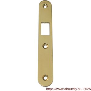 S&B 225603.4 sluitplaat voor 27225603.4 links-rechts 170x25x3 mm T messing gepolijst - A40615107 - afbeelding 1