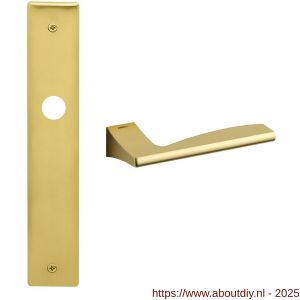 Mandelli1953 1030R BB56 Link deurkruk gatdeel op langschild 240x40 mm BB56 rechtswijzend mat messing - A21015423 - afbeelding 1