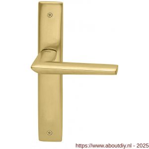 Mandelli1953 1080R BB56 Isi deurkruk gatdeel op langschild 240x40 mm BB56 rechtswijzend mat messing - A21015381 - afbeelding 1