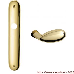 Mandelli1953 1090R PC85 Led deurkruk gatdeel op langschild 238x40 mm PC85 rechtswijzend messing gepolijst - A21015607 - afbeelding 1