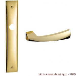 Mandelli1953 1130 WC55/8 Mitos deurkruk op langschild WC55/8 messing gepolijst - A21018753 - afbeelding 1
