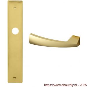 Mandelli1953 1130L PC72 Mitos deurkruk gatdeel linkswijzend op langschild PC72 mat messing - A21018768 - afbeelding 1