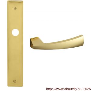 Mandelli1953 1130R Mitos deurkruk gatdeel rechtswijzend op langschild blind mat messing - A21018771 - afbeelding 1