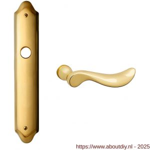 Mandelli1953 1210 PC72 Norma deurkruk op langschild PC72 messing gepolijst - A21019050 - afbeelding 1