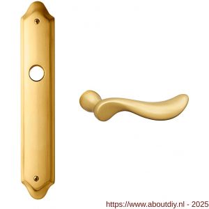Mandelli1953 1210 PC72 Norma deurkruk op langschild PC72 mat messing - A21019075 - afbeelding 1