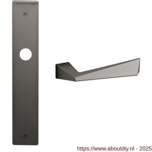 Mandelli1953 1250R BB72 Piramid deurkruk gatdeel rechtswijzend op langschild 240x40 mm BB72 grafiet - A21015730 - afbeelding 1