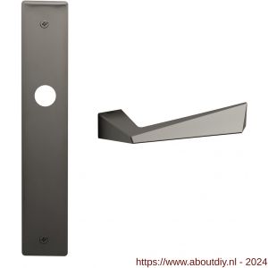 Mandelli1953 1250R PC55 Piramid deurkruk gatdeel rechtswijzend op langschild 240x40 mm PC55 grafiet - A21015731 - afbeelding 1
