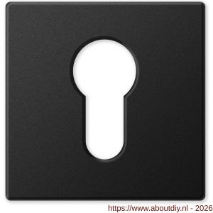 Mandelli1953 1291/BY cilinderrozet mat zwart - A21019118 - afbeelding 1