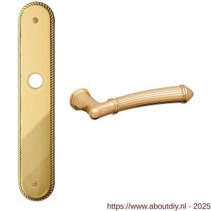 Mandelli1953 1510R BB56 Aurora deurkruk gatdeel op langschild 259x48 mm BB56 rechtswijzend 24k goud - A21015311 - afbeelding 1