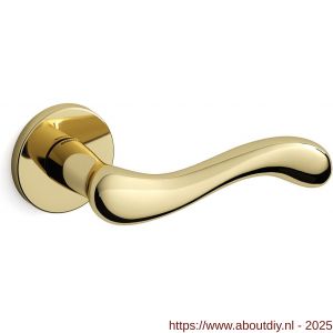 Mandelli1953 451 Ande deurkruk op rozet messing gepolijst - A21009178 - afbeelding 1