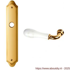 Mandelli1953 8010L BB56 Naxos deurkruk gatdeel linkswijzend op langschild BB56 24k goud - A21019780 - afbeelding 1