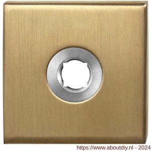 GPF Bouwbeslag PVD 1100.02P4 rozet vierkant 50x50x8 mm PVD messing satin - A21003652 - afbeelding 1