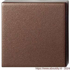 GPF Bouwbeslag Anastasius 1102.A2.0900 blinde vierkante rozet 50x50x8 mm Bronze blend - A21011257 - afbeelding 1