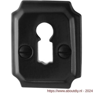GPF Bouwbeslag Smeedijzer 6901.02 sleutelrozet rechthoekig 48x40x6 mm smeedijzer zwart - A21003746 - afbeelding 1