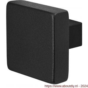 GPF Bouwbeslag ZwartWit 8948.61 S1 vierkante knop 53x53x16 mm draaibaar met krukstift zwart - A21008071 - afbeelding 1