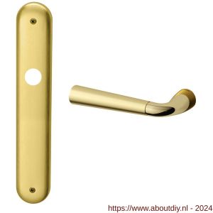 Mandelli1953 S90L Special deurkruk gatdeel op langschild 238x40 mm blind linkswijzend messing gepolijst-satin mat messing - A21012092 - afbeelding 1