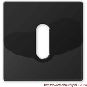 Mandelli1953 1291/B sleutelrozet vierkant 50x50x6 mm glanzend zwart 24k - A21011730 - afbeelding 1