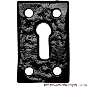 Kirkpatrick KP1502 sleutelrozet rechthoekig 46x30 mm smeedijzer zwart - A21003755 - afbeelding 1