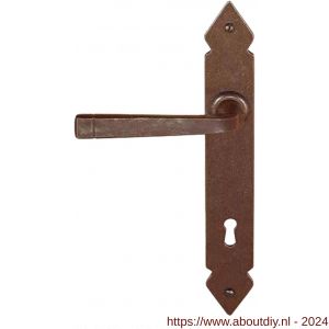 Utensil Legno FM378L/R deurkruk gatdeel op schild 245x35 mm blind links-rechtswijzend roest - A21007250 - afbeelding 1