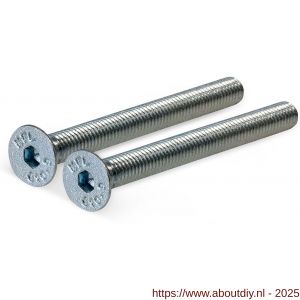 GPF Bouwbeslag AG0306 staal gegalvaniseerd bout DIN 7991 2x M5x80 mm voor veiligheids KT rozet tot deurdikte 74 mm gegalvaniseerd - A21010484 - afbeelding 1