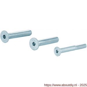 GPF Bouwbeslag AG0333 binnenzeskantbout PK DIN 7991 10.9 galvanisch verzinkt voor set veiligheids schilden tot deurdikte 44 mm 2x M8x45/1x M6x50 mm gegalvaniseerd - A21016461 - afbeelding 1