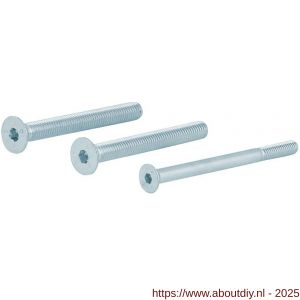 GPF Bouwbeslag AG0337 binnenzeskantbout PK DIN 7991 10.9 galvanisch verzinkt voor set veiligheids schilden tot deurdikte 84 mm 2x M8x90/1x M6x90 mm gegalvaniseerd - A21016475 - afbeelding 1